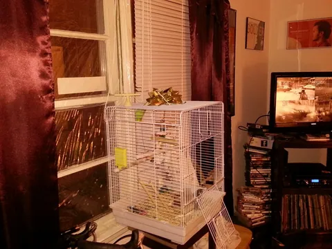 Clearly, the birds’ home.