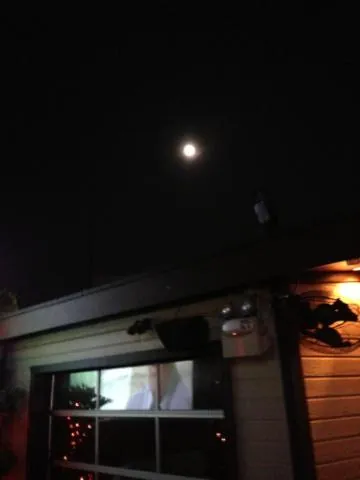 Moon