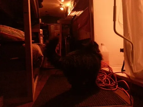 Apparently he wants a shower