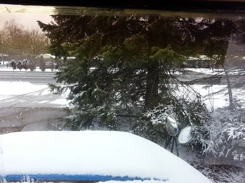 All that snow
