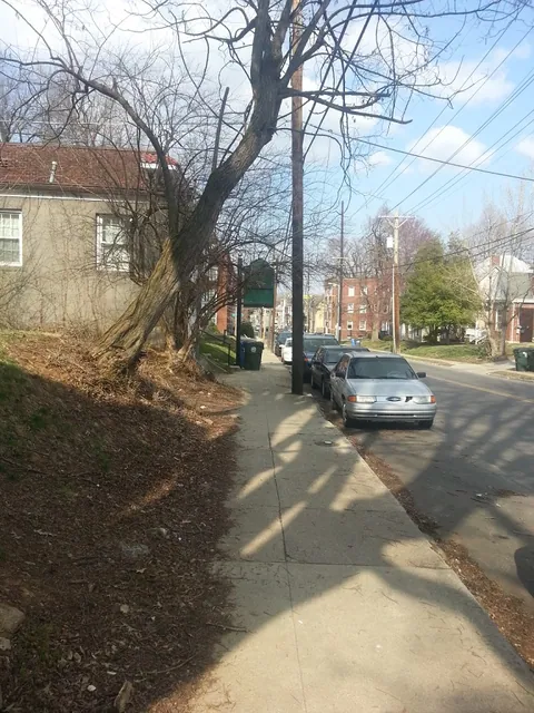 Walking out of Lexington to the bus