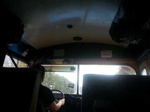 Drive away snake