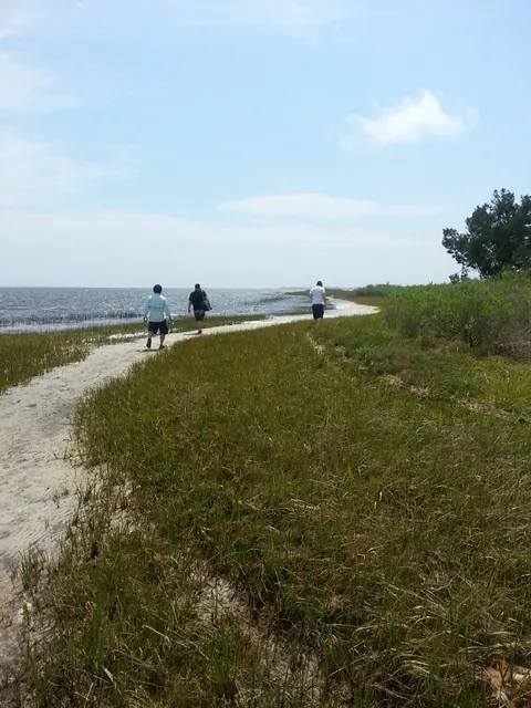 To the beach