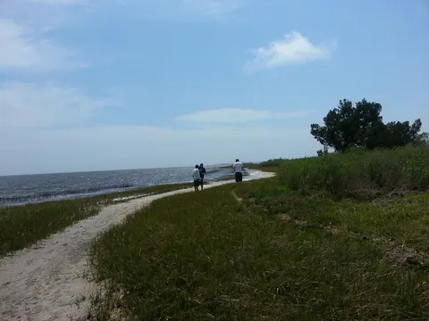 To the beach