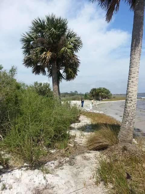 Beach just south of Tallahassee