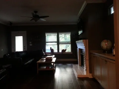 Matt and Katie’s house and two of their cats sentineling