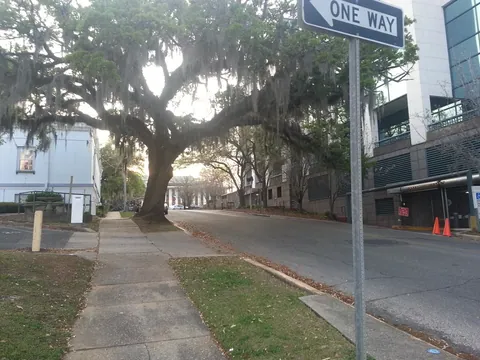 So much spanish moss