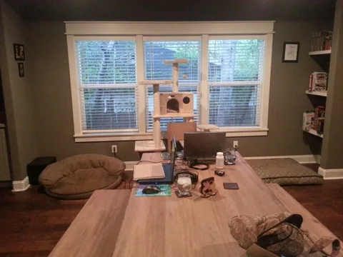 Lou’s Palace
