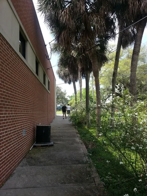 Walking around town