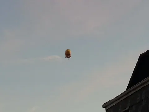 Blimp