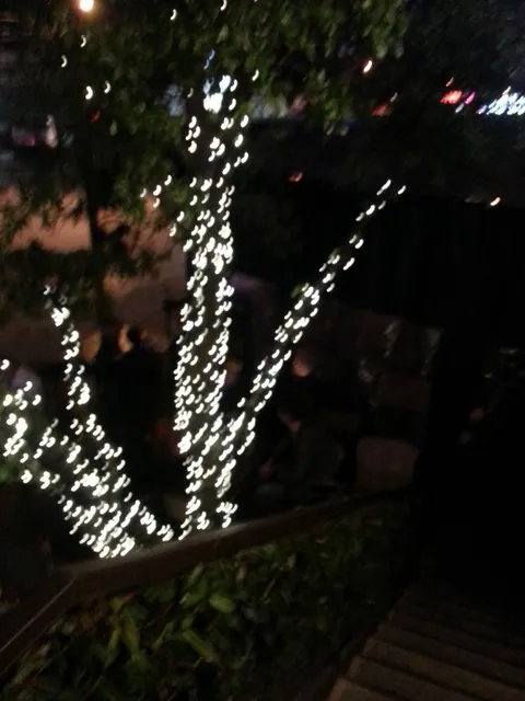 Lighted Tree