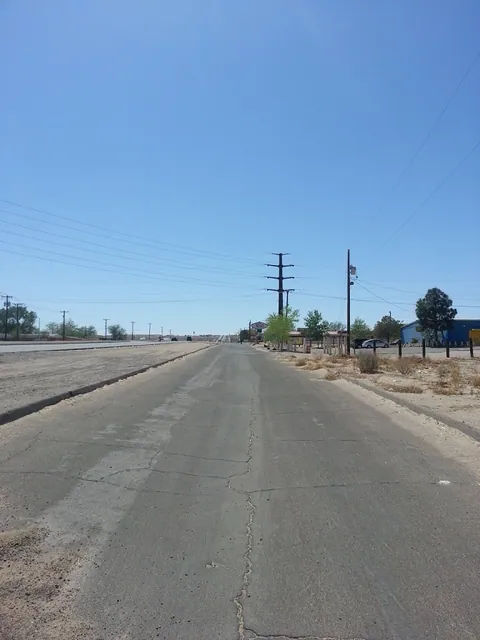 Why did we bike?